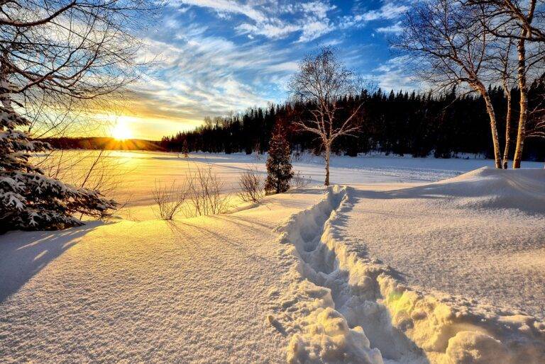 winter landscape, sunset, cold-636634.jpg